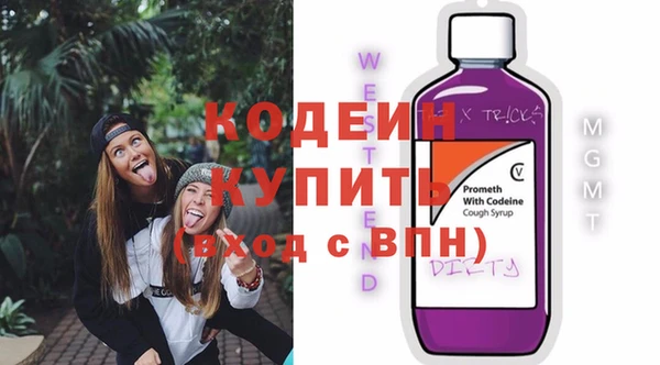 ПСИЛОЦИБИНОВЫЕ ГРИБЫ Инта