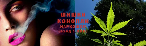 ПСИЛОЦИБИНОВЫЕ ГРИБЫ Инта