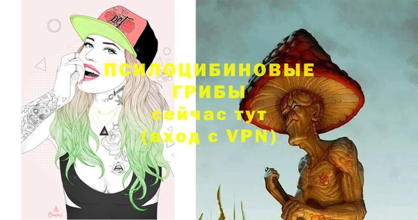 ПСИЛОЦИБИНОВЫЕ ГРИБЫ Инта