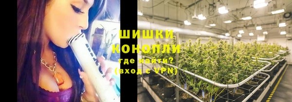 спиды Иннополис